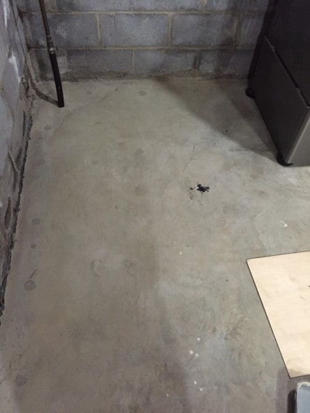 laundry room unfinished floor.JPG